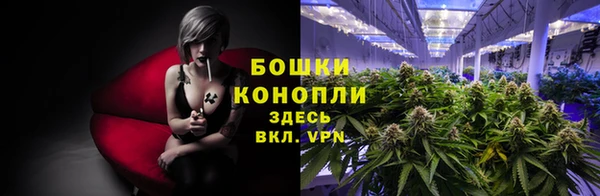 амф Осинники