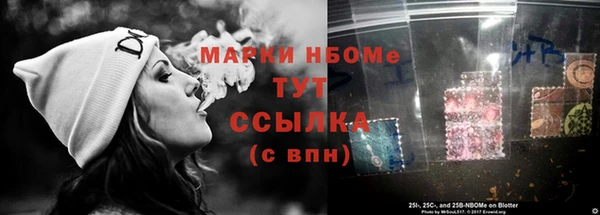 мдпв Осташков