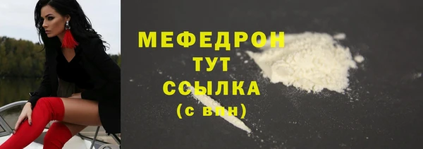 мдпв Осташков