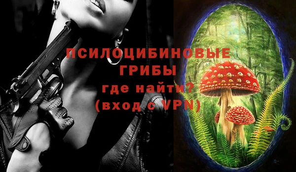 стаф Нязепетровск