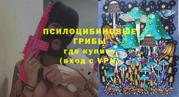 мдпв Осташков
