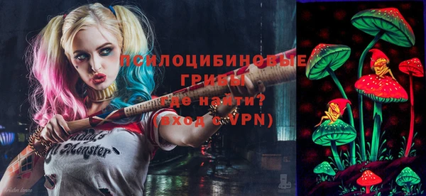а пвп мука Няндома