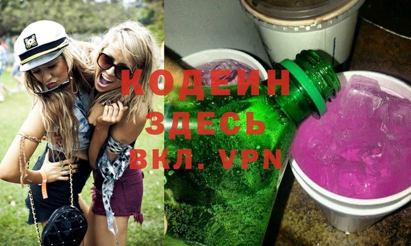 мдпв Осташков
