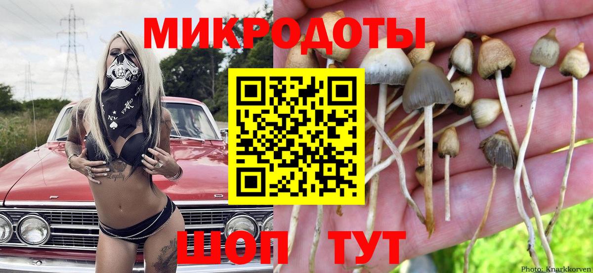 Лабинск  дарнет шоп  Вход с VPN  Псилоцибиновые грибы Cubensis  Галлюциногенные грибы MAGIC MUSHROOMS 
